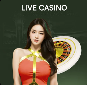 罗马诺：纽卡正与19岁中场刘易斯